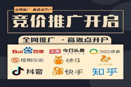 百度SEO推广公司案例分享：实战优化策略解析